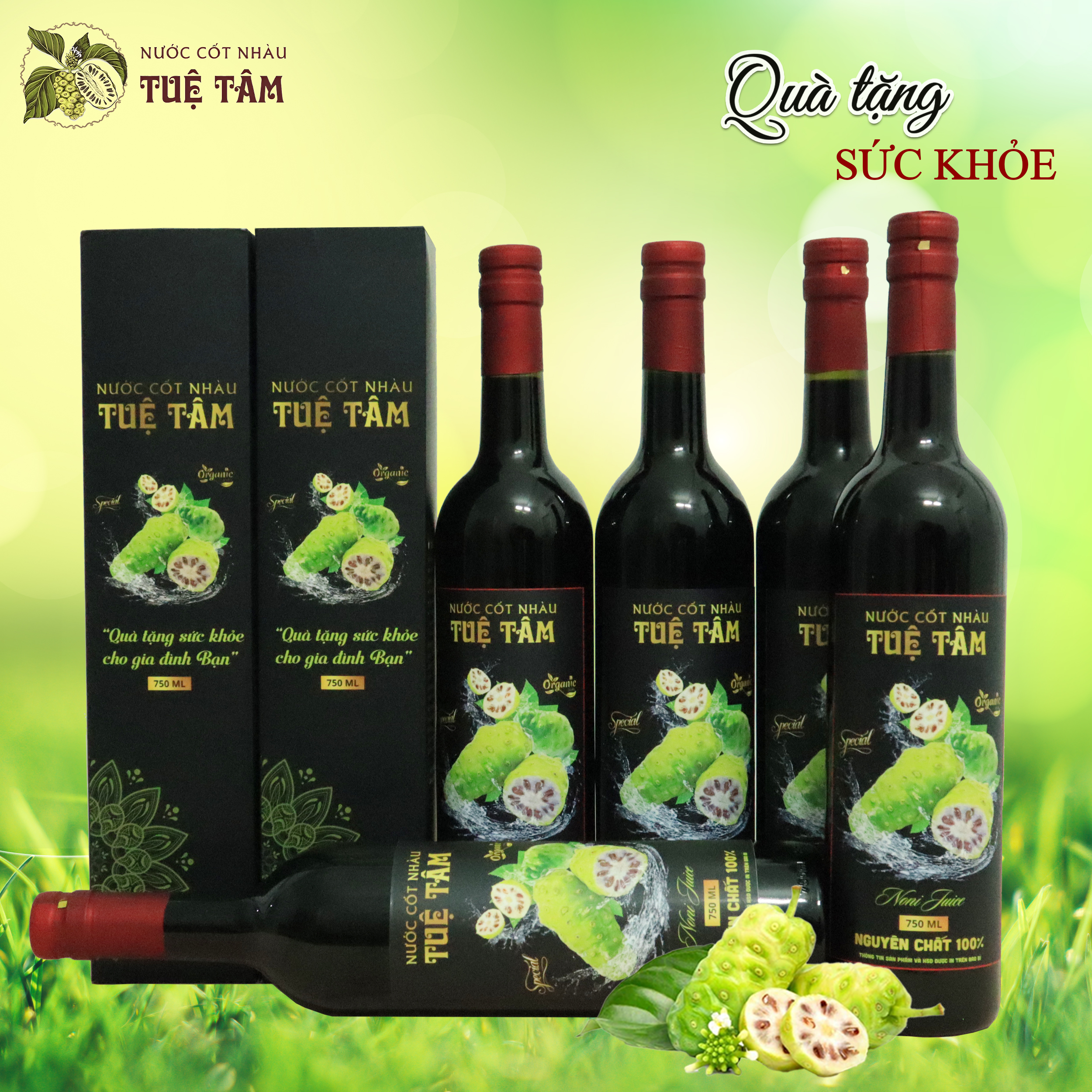 COMBO 5 NƯỚC CỐT NHÀU TUỆ TÂM 750ml